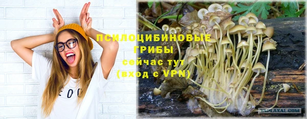 хмурый Балахна