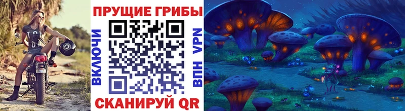 закладка  Закаменск  Псилоцибиновые грибы Magic Shrooms 