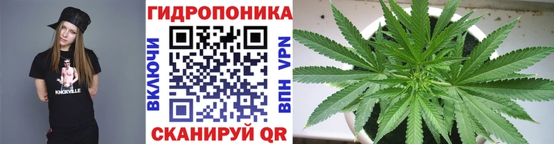Канабис план Закаменск